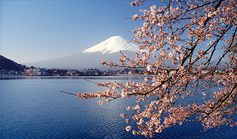 Japan's bizarrely brief "technical recession"